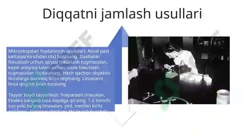 Mikrosikop 4