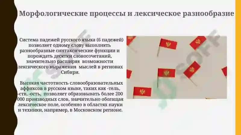 Лексичэски богатство русского языка 4
