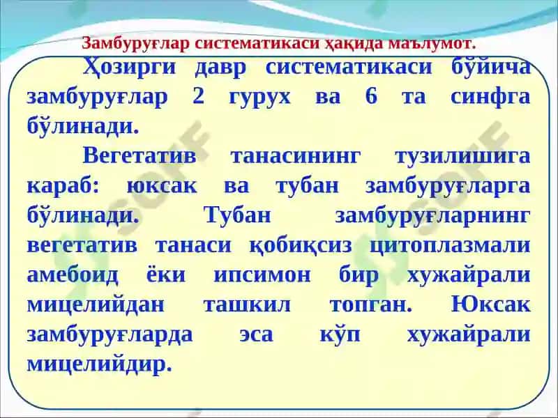 Замбуруғларнинг систематикаси. Хитридиомицетлар синфининг тавсифи 4