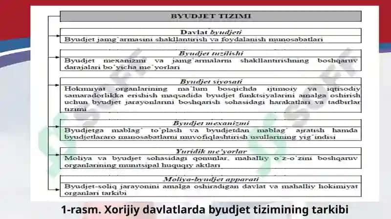 Davlat byudjeti va byudjet tizimi 4