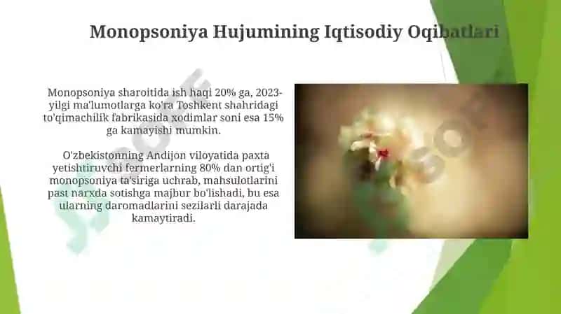Monopsoniya sharoitida narxning shakllanishi 4