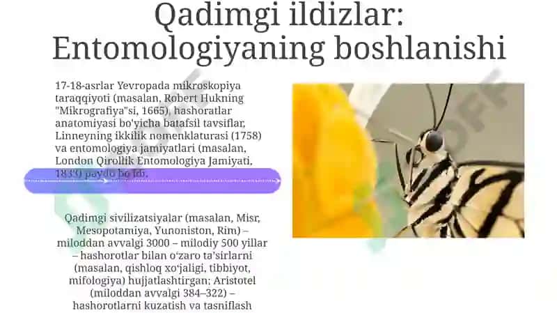 Entomologiya fanining rivojlanish tarixi, hasharotlar evolyutsiyasini tahlil etish 4