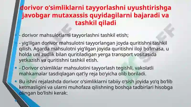 Xalq tabobatida dorivor o’simliklarni tayyorlash, saqlash va ishlov berish usullari 4