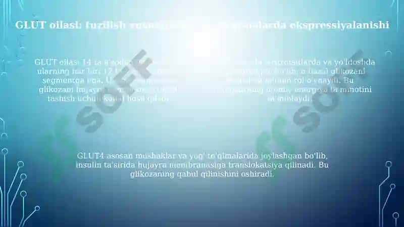 Glukozatashuvchilarning tuzilishispetsifikligiklinikahamiyati 4