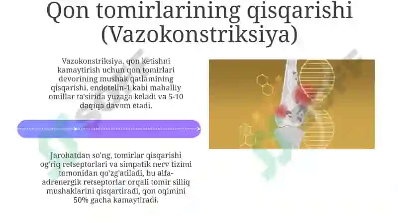 Gemostaz mexanizmlari va uning patologiyasi 4