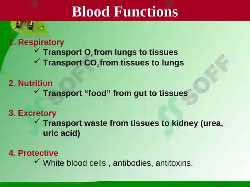 Blood 4