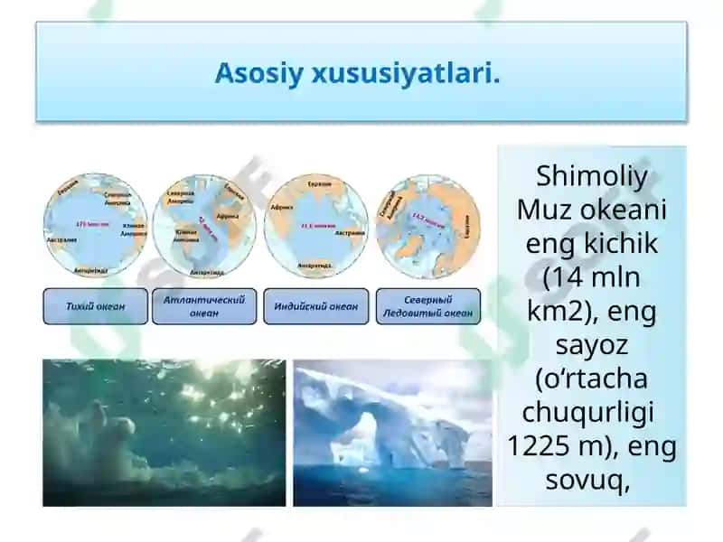 Shimoliy Muzokeani 4