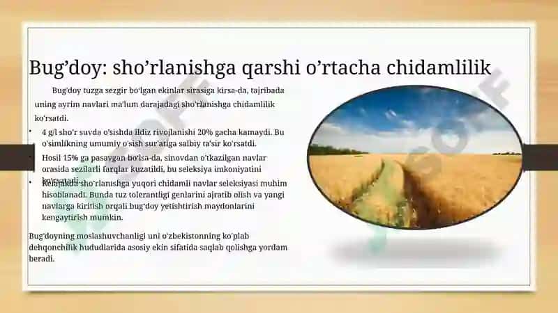 O’simliklarni sho’rlanishga chidamliligi: 5 ta madaniy o’simlik misolida shaxsiy tajriba 4