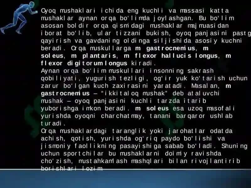 oyoq muskullari 4