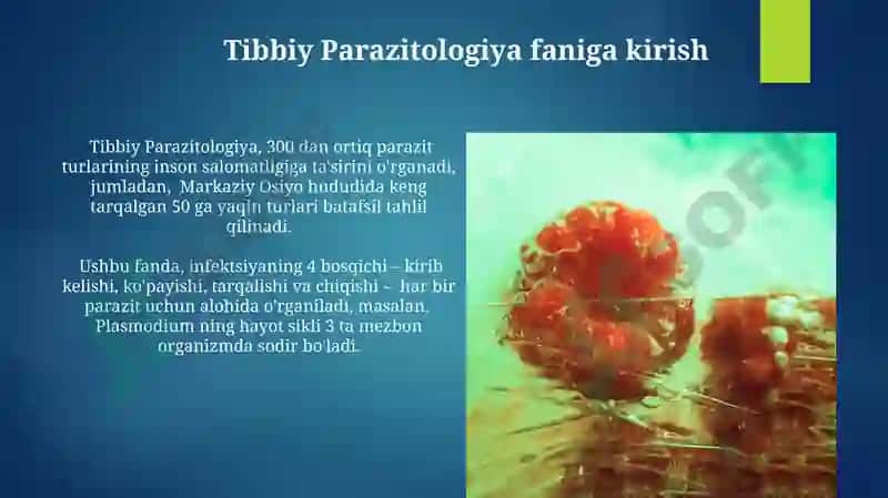 Tibbiyot parazitologiyasi.Tibbiyot protozologiyasi 4