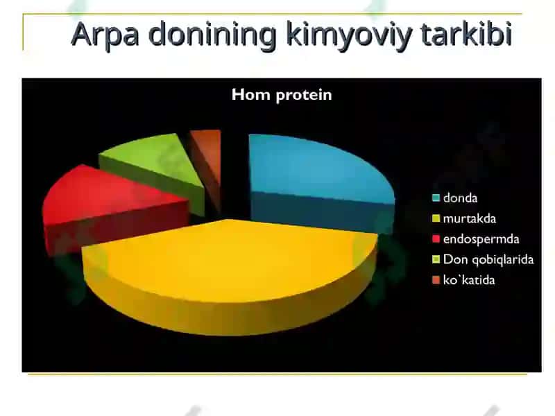MAVZU.ARPA BIOLOGIYASI VA YETISHTIRISH TEXNOLOGIYASI 4