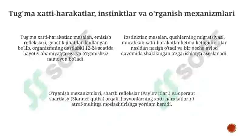 Ontogenez va aqliy faoliyatning asosiy tushunchalari 4