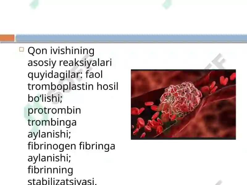 Kolloid eritmalarning koangulyasiyasi. Qonning ivishi va kolloid himoya 4