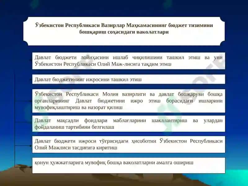 Бюджет тизими 4