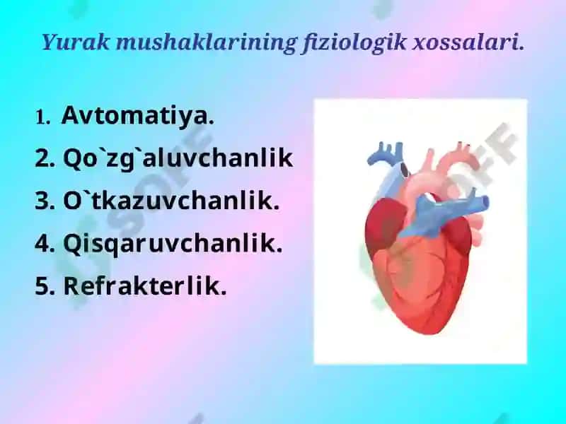 Yurak mushaklarining fiziologik vazifalari normal EKG 4
