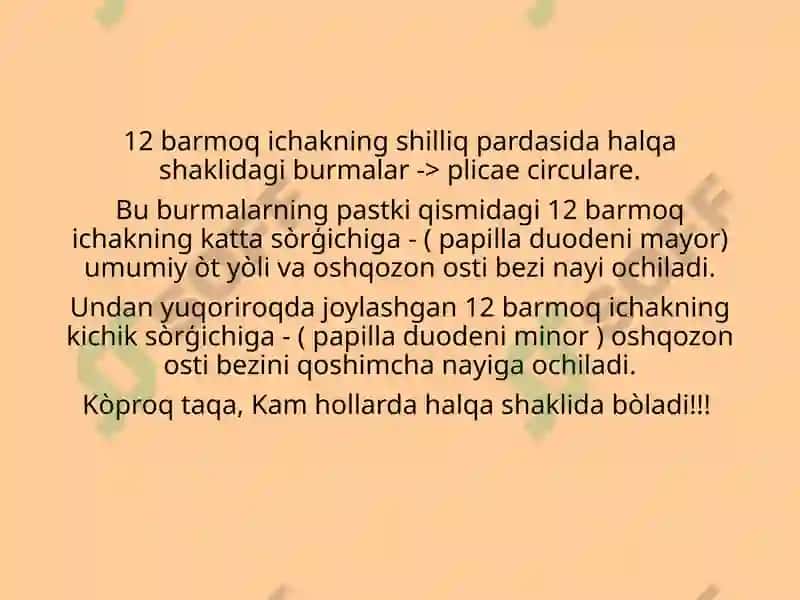 Ingichka ichak, uning qismlari, rivojlanishi, funksiyasi va topografiyasi.  Yoģon ichak , uning qismlari, rivojlanishi,  topografiyasi va funksiyasi.  Togri ichak qismlari,  sfinkterlar, tuzilishi, topografiyasi. 4