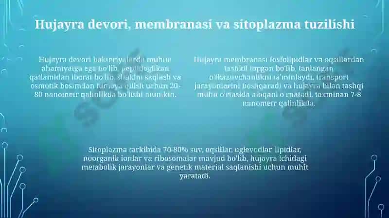 Bakteriyalarning morfologiyasi va tuzilishi 4