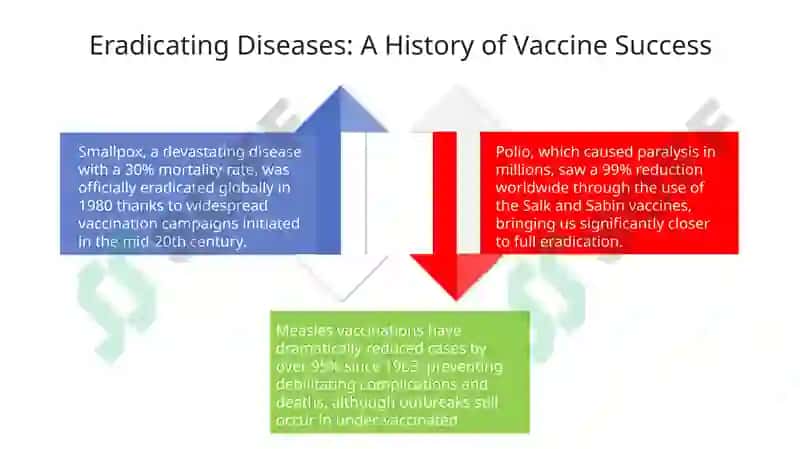 Vaccination and Immunity 4