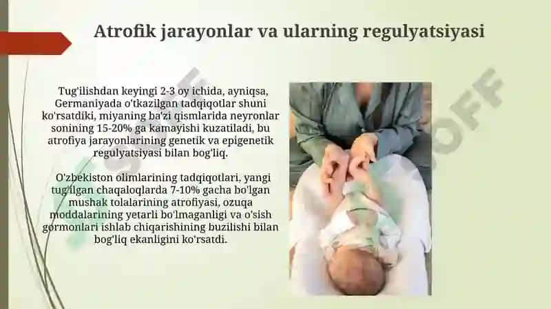 Ovqat hazm qilish sistemasi rivojlanishining regulyatsiyasi 4