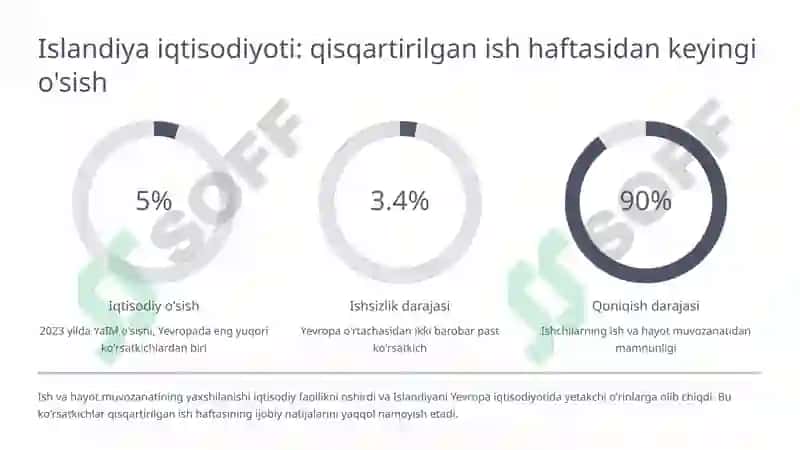 Mehnat unumdorligini oshirish bo'yicha xorij tajribasi 4