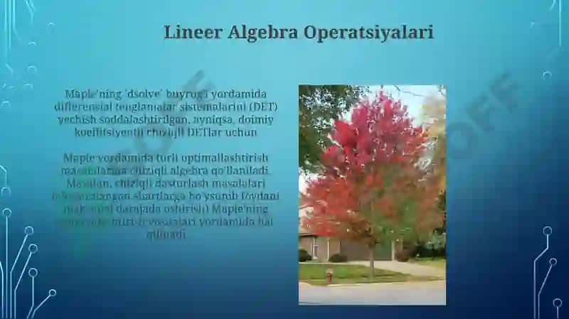 Maple amaliy dasturi 4