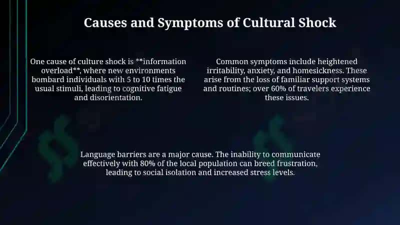 Cultural Shock 4