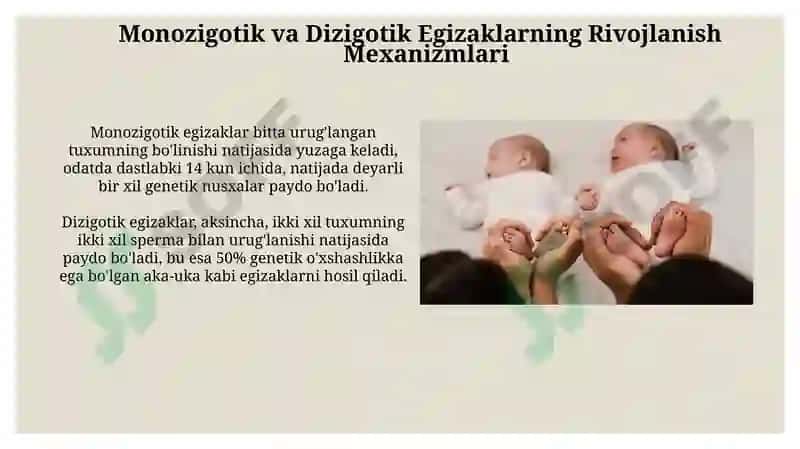 Egizaklar 4