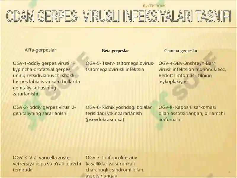 GERPETIK INFEKTSIYA 4