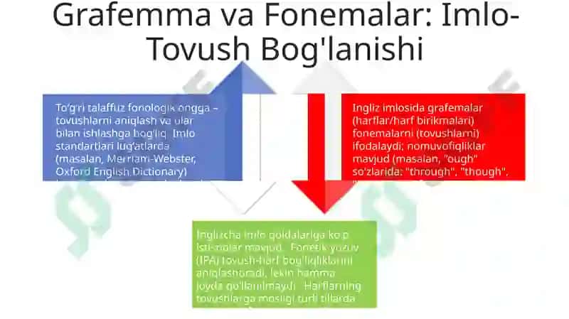 Lingvistik kompetentsiya.Nutqning talaffuz va imlo me'yorlari 4