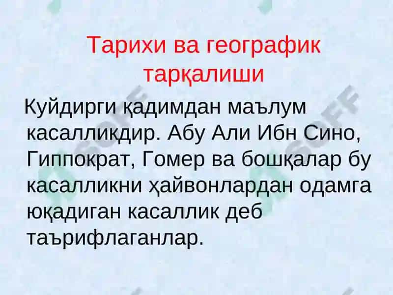 Kuydirgi (Anthrax) 4