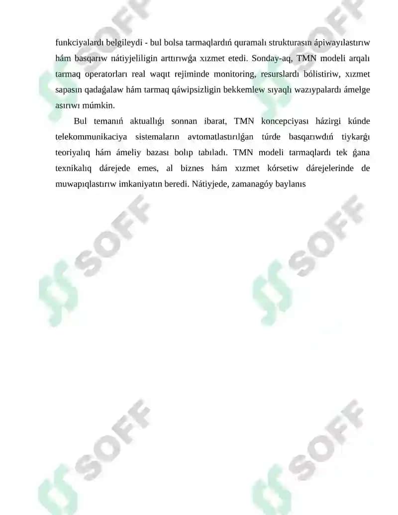 TMN koncepsiyası 4