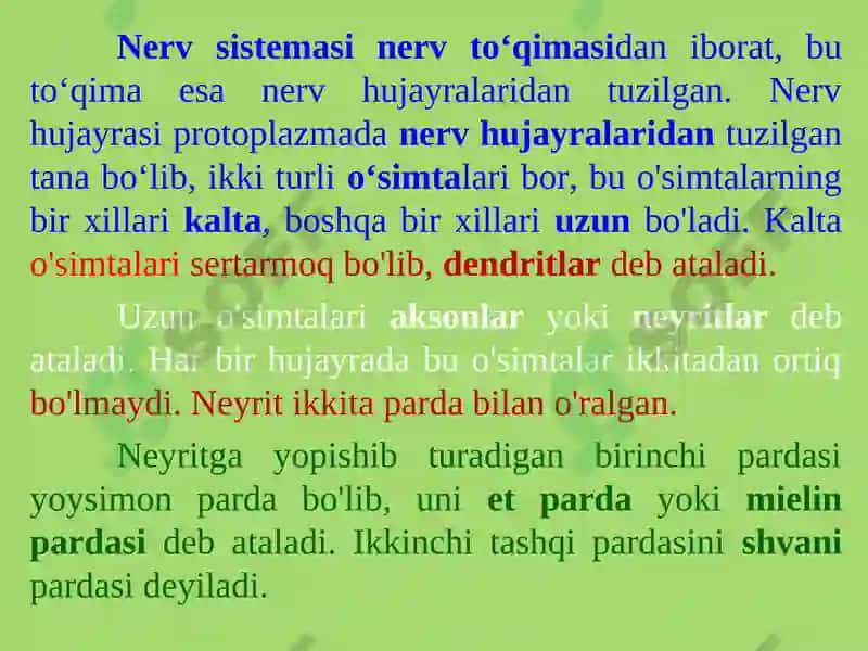 PSIXIKANING NERV-FIZIOLOGIK ASOSLARI 4