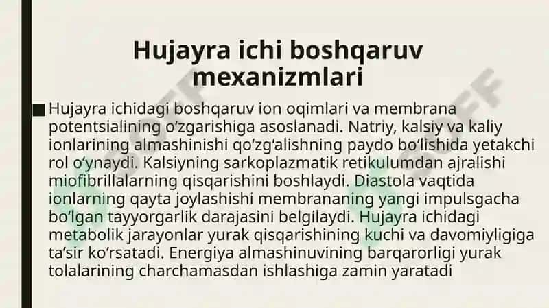 yurak faoliyatini boshqarilishini Oʻziga xosligi 4