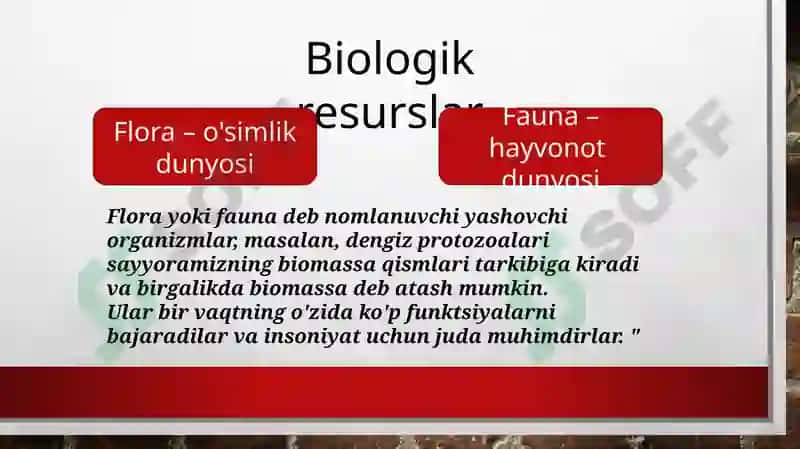 Biologik resurslarni muhofaza qilish 4