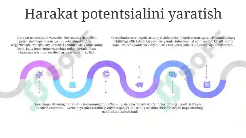 Neyronlarda Nerv Impulslarini Hosil Bòlishi Mexanizmlari.Nerv Tolalari Bòylab Òtish Mexanizmi 4