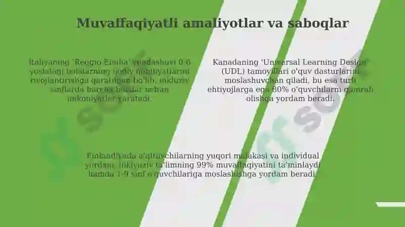 Inklyuziy ta'limni joriy qilish bo'yicha chet el tajribalari 4