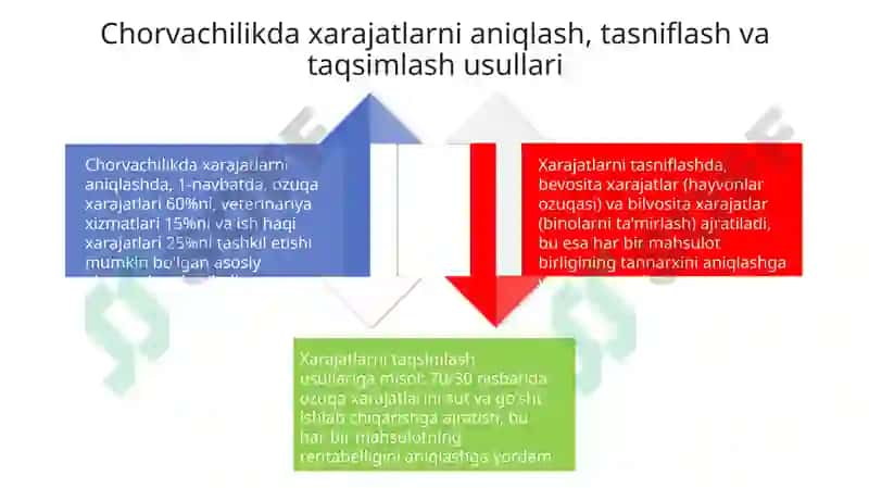 Chorvachilikda xarajatlar hisobi va mahsulot tannarxini audit qilish 4