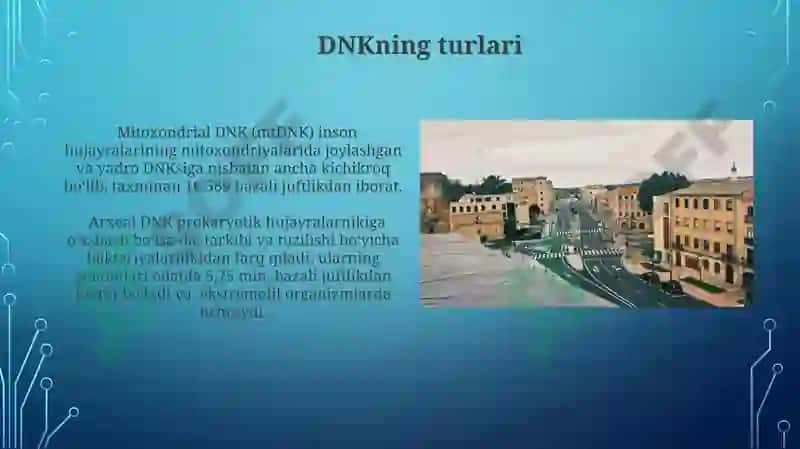 Nuklein kislotalarining tuzilishi, va klassifikatsiyasi va nomenklaturasi 4