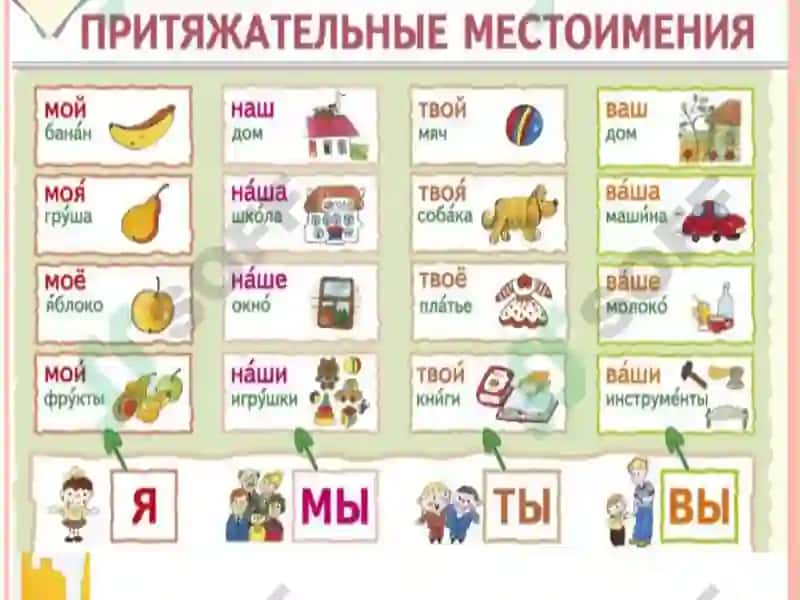 МОЯ СЕМЬЯ.Притяжательные местоимения 4
