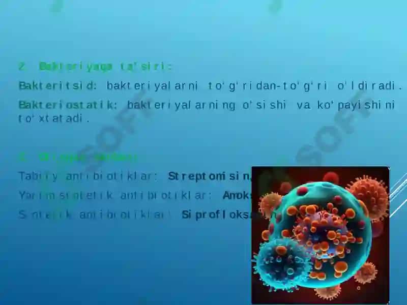 Bakteriyalarning antibiotiklarga chidamli shakllarini paydo bo'lish mexanizmlari 4