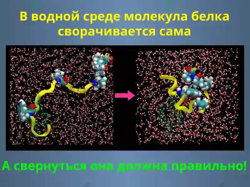 Фолдинг 4