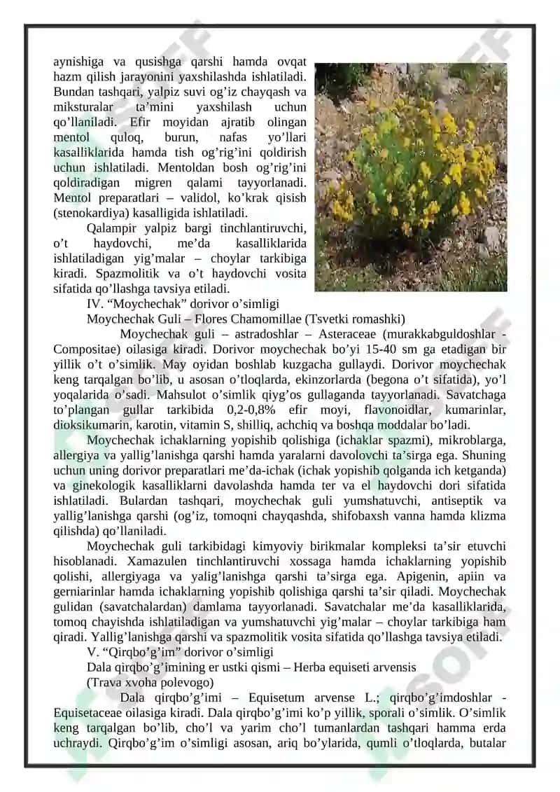 Suvli ajratmalar (damlama va qaynatmalar) 4