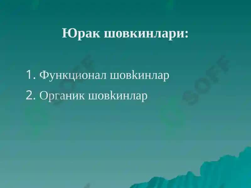 Юракда шовкин синдроми: тугма ва орттирилган юрак нуксонлари 4