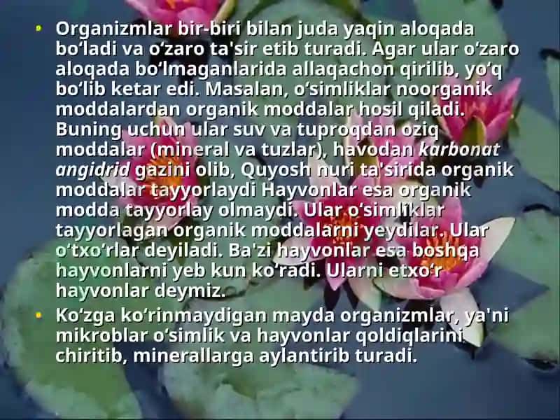 Yer qobiqlarning o‘zaro ta'siri 4