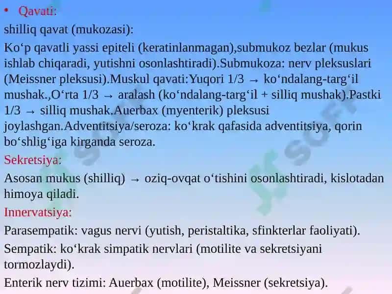 Oshqozon va qizilongach anatomiyasi,fiziologiyasi,tekshiruv usullari va ularning klinik simptomatikasi 4