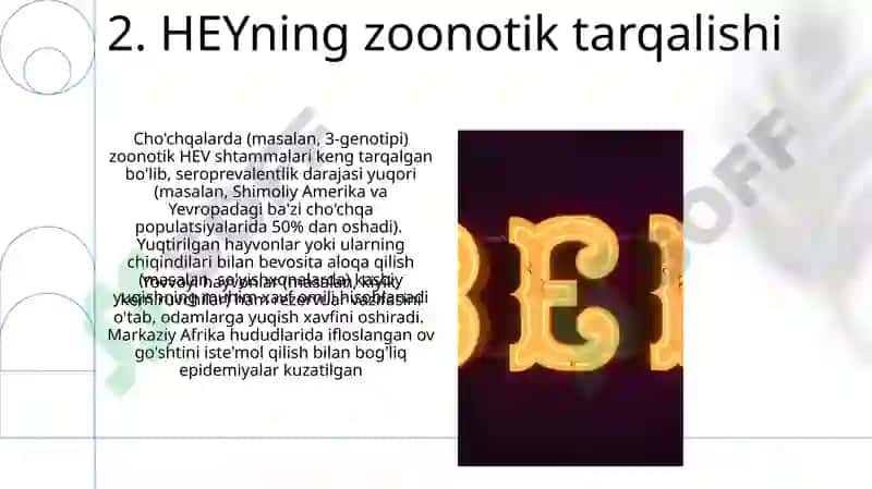 Gepatit E 4
