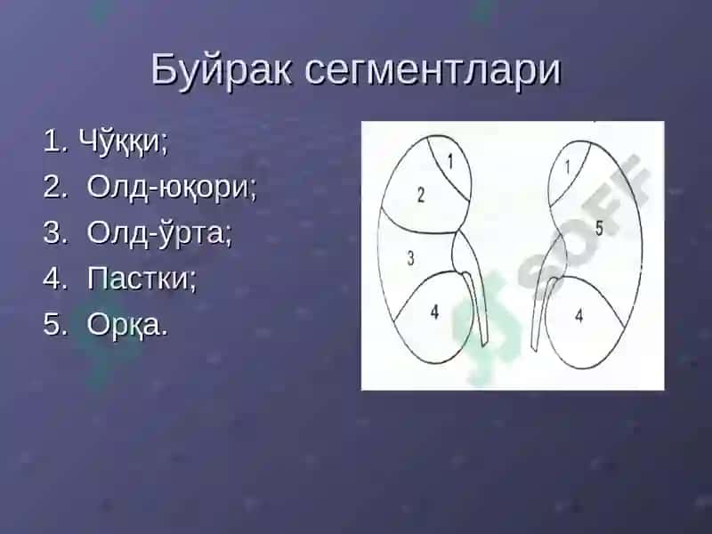 Нур диагностикаси 4