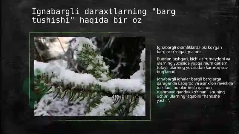 Bargning toʼkilishi va ahamyati 4