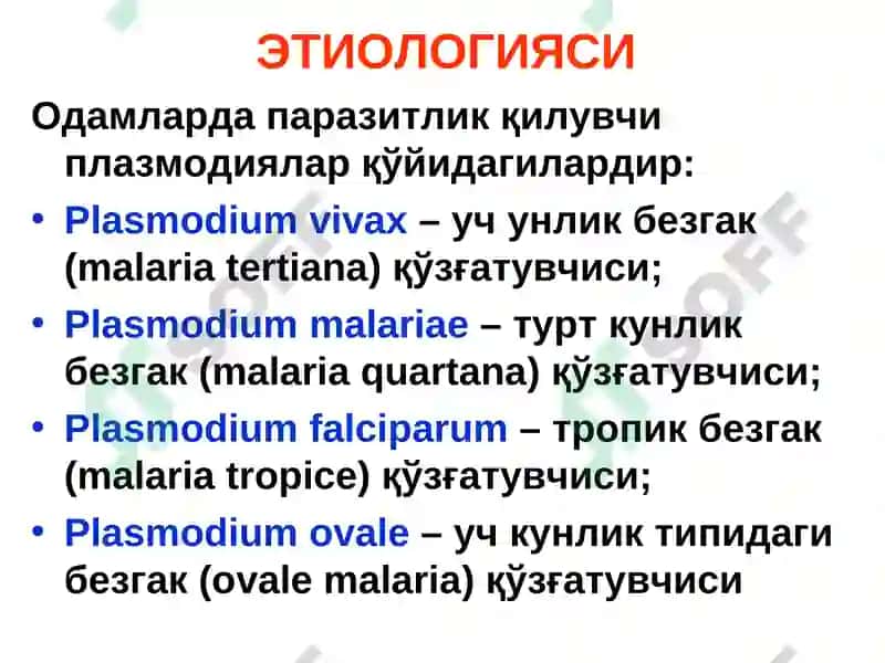 BEZGAK MALYARIYA, MALARIA 4