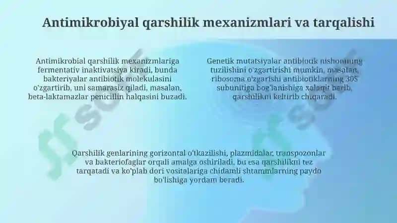Antimikrobik qarshilik 4